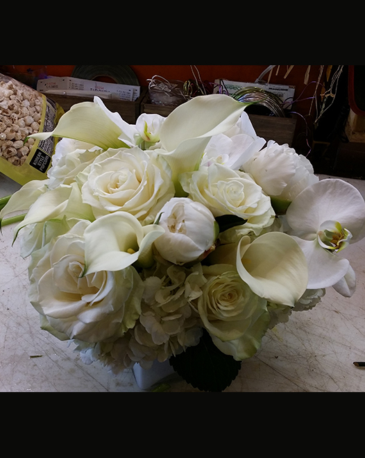 Tjflowers 0343